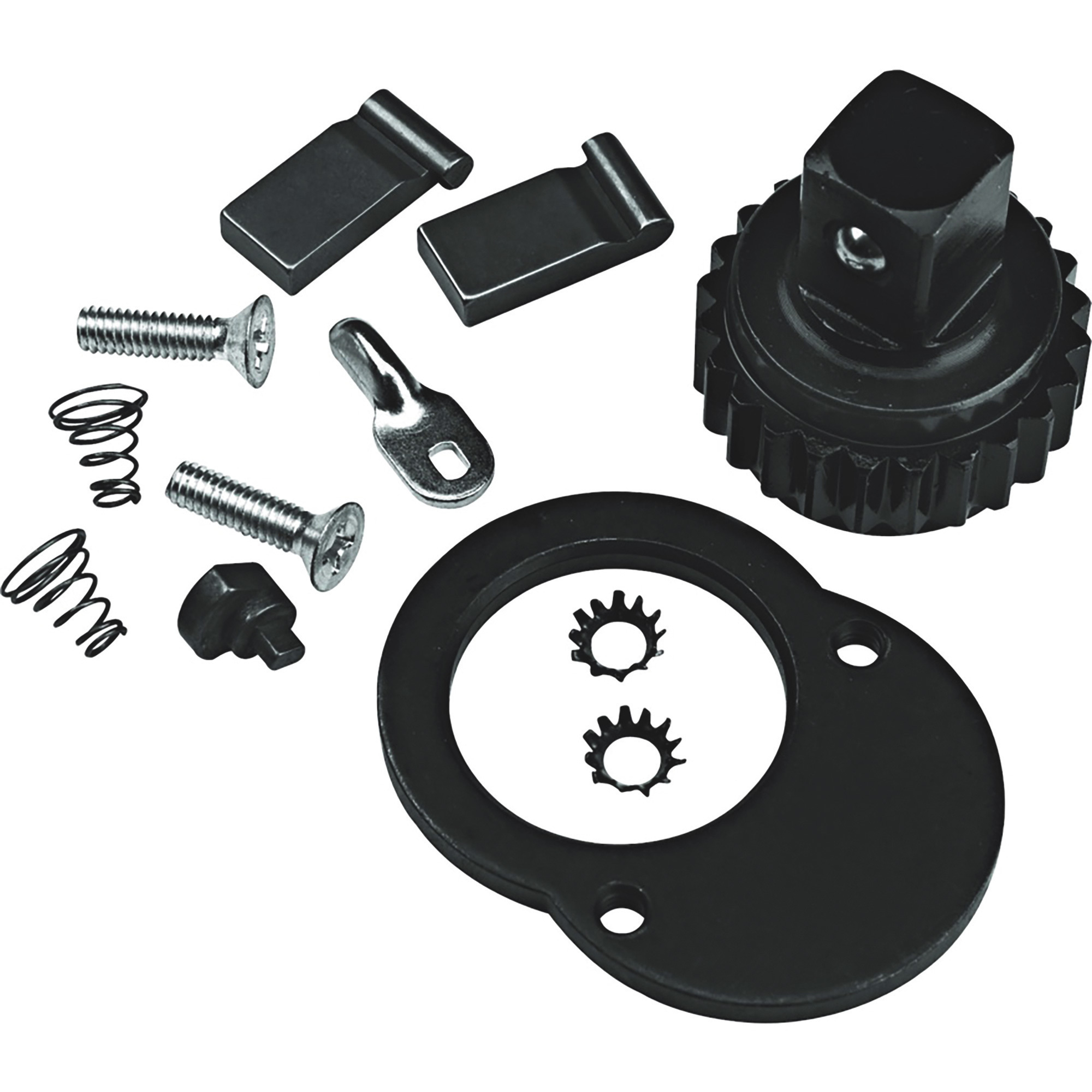 Proto 3/4in. Drive 12-Pc. Ratchet Head Repair Kit, Model# J6018RK